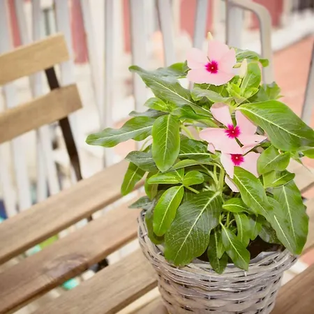 Un Posto Al Sole Lägenhet